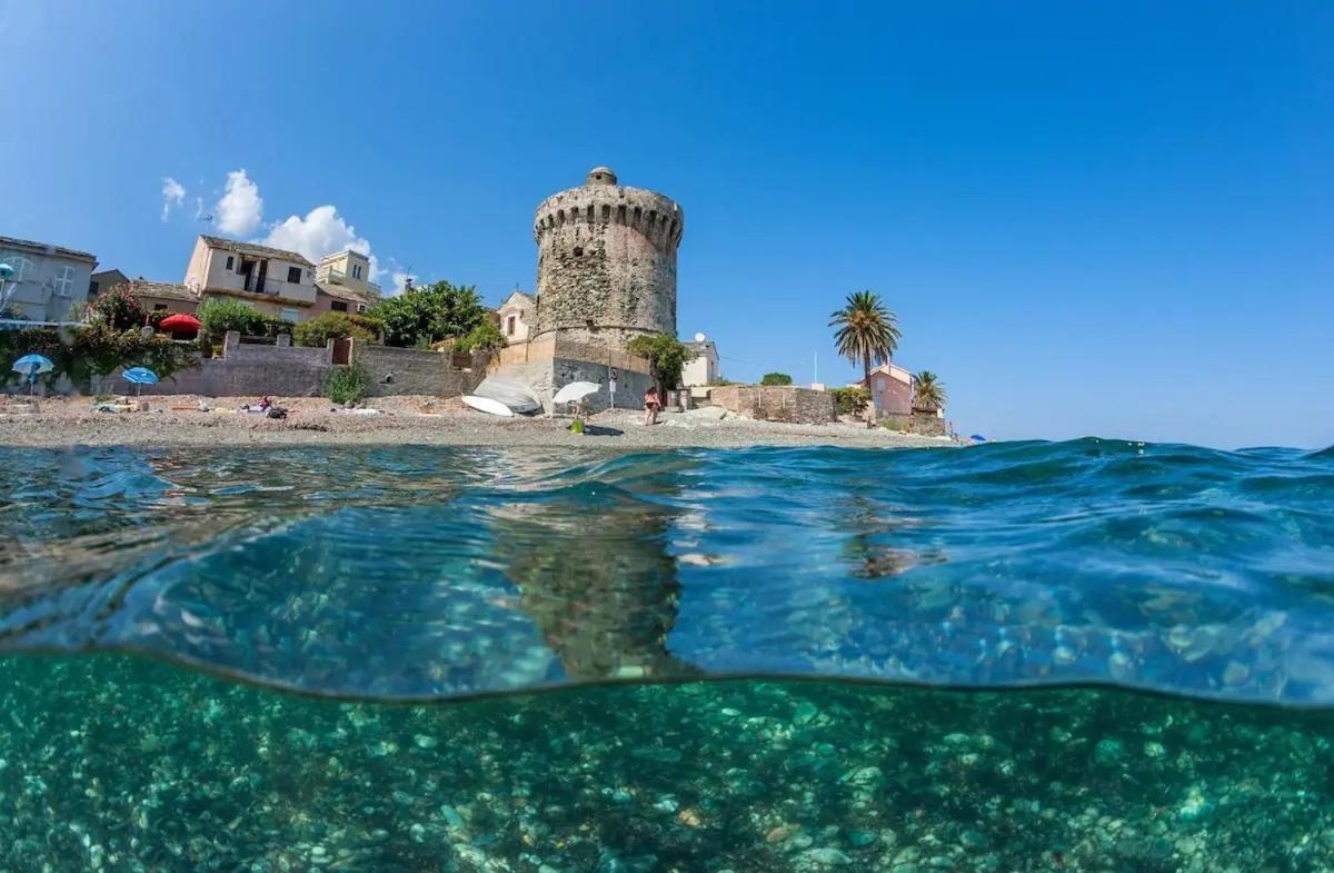 Agreable Studio Debut Cap Corse Proche Bastia San-Martino-di-Lota Exterior foto